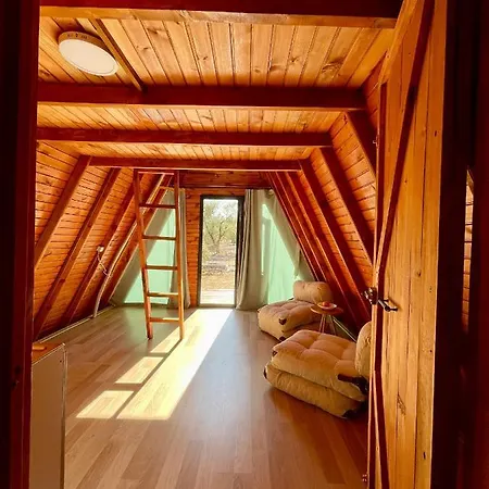 营地 Bingidi Bungalov